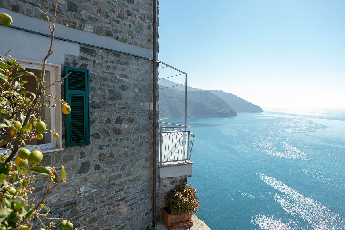 La casa vista dal cortile privato La casa vista dal cortile privato
