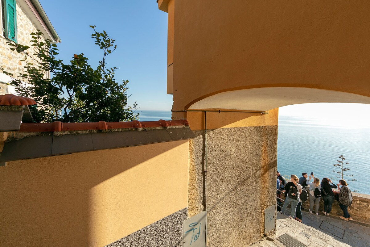 Vista finestra Vista finestra